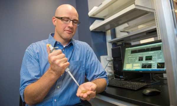 Nanotecnología para diagnosticar y evaluar progreso de artrosis